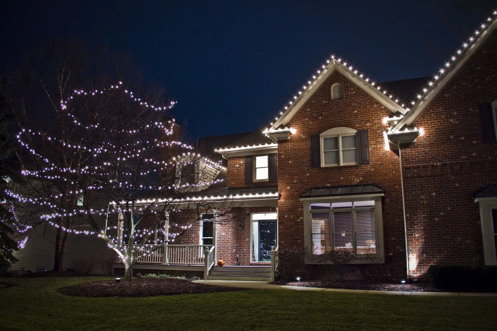 Brick home with professional residential lighting across the tree and roofline after dark