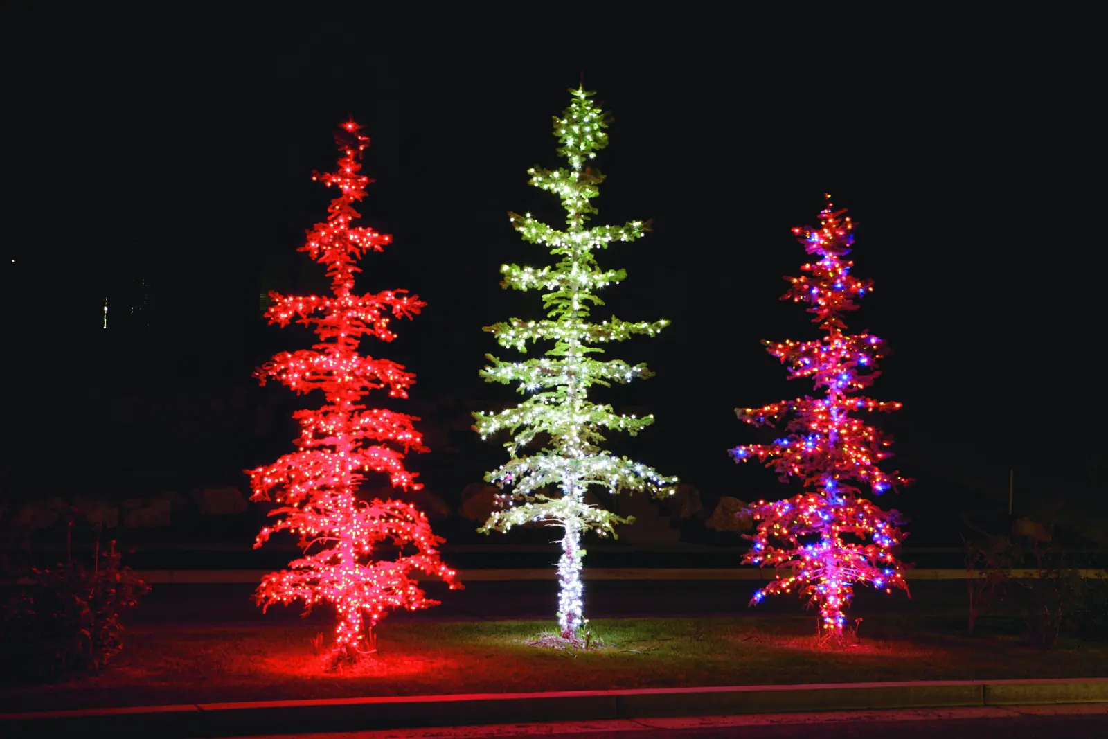 Color-changing LED Christmas tree lighting display