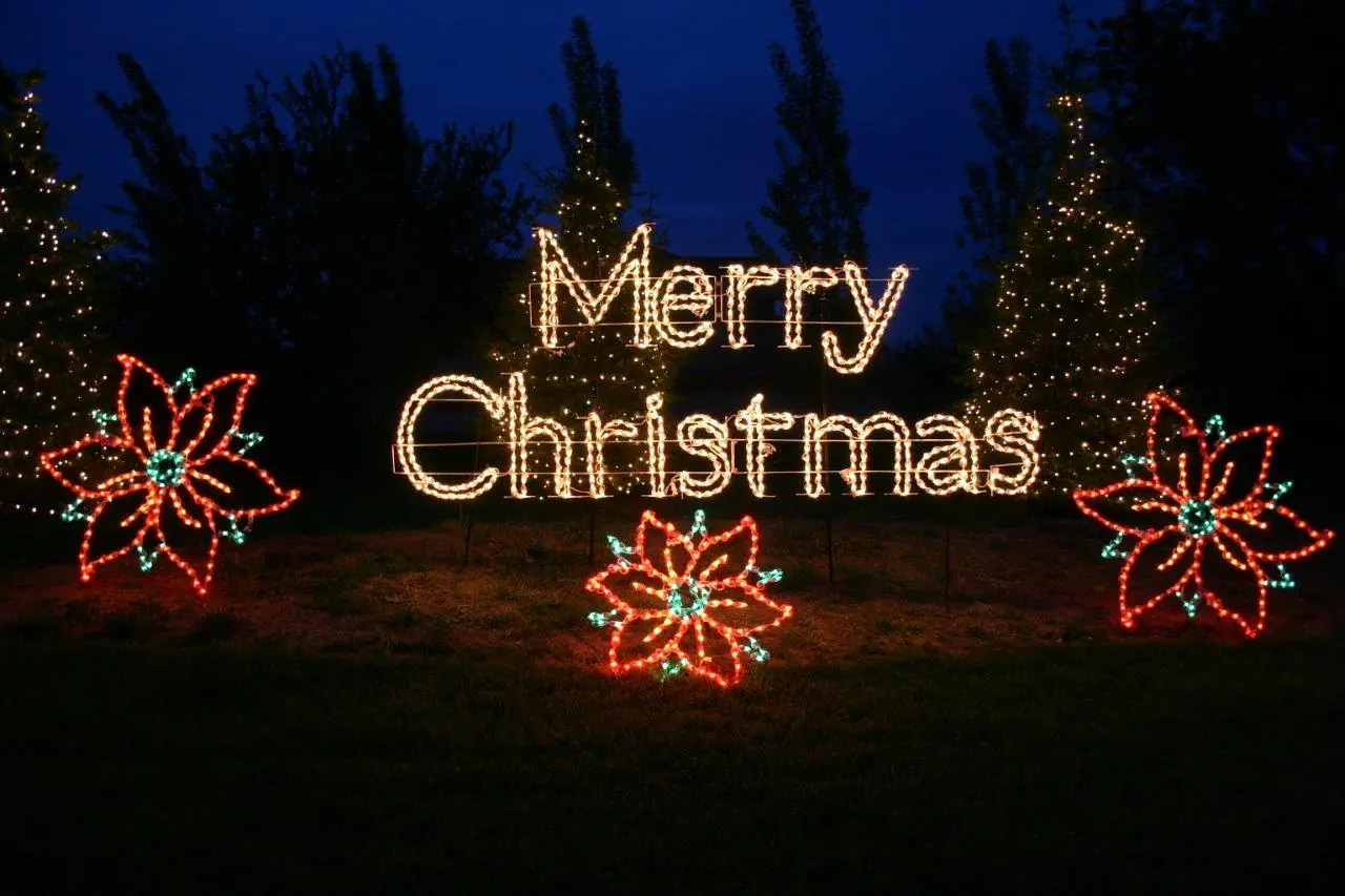 Merry Christmas lighting display with illuminated poinsettias